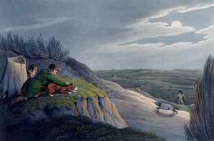 アナグマ捕獲、1820